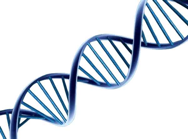 武汉供卵试管价格表